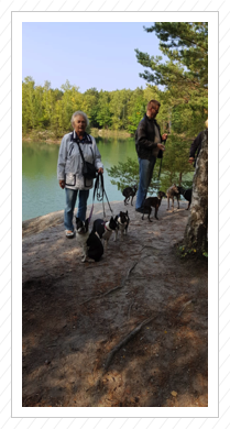 Quitzdorfer See - September 2018 Quitzdorfer See - September 2018